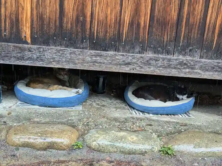 八幡社(柏井町)の動物