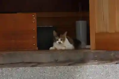 玉野御嶽神社の動物