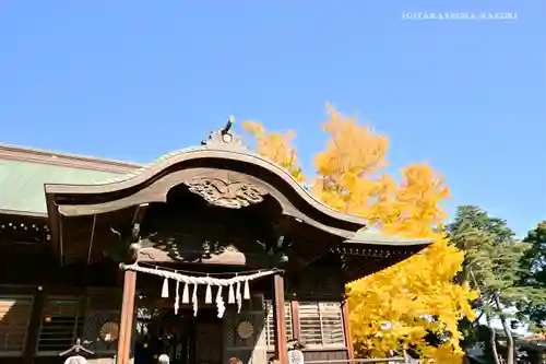 葛飾八幡宮の本殿・本堂