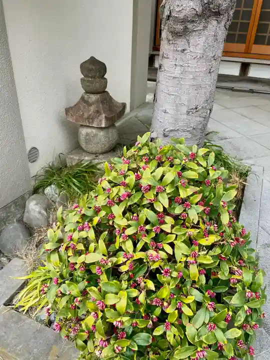 龍光寺の{uncategorized: "未分類", other: "その他", undefined: "問題あり", building: "その他建物", grave: "お墓", sacred_gate: "鳥居", guardian: "狛犬", statue: "像", buddha: "仏像", history: "歴史", nature: "自然", garden: "庭園", animal: "動物", pagoda: "塔", temizu: "手水舎", mountain_gate: "山門・神門", sanctuary: "本殿・本堂", subordinate: "末社・摂社", art: "芸術", scenery: "景色", jizo: "地蔵", ema: "絵馬", goshuin: "御朱印", omikuji: "おみくじ", items: "授与品その他", amulet: "お守り", goshuincho: "御朱印帳", eats: "食事", festival: "お祭り", votive_dance: "神楽", shichigosan: "七五三参", wedding: "結婚式", experience: "体験その他", initially: "初詣", around: "周辺", anti_infection: "感染症対策"}