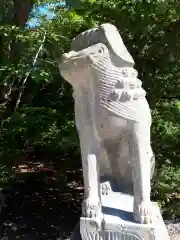 住吉神社の狛犬