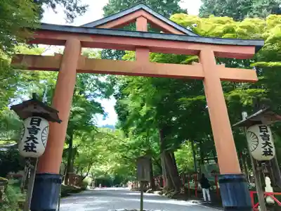 日吉大社の鳥居