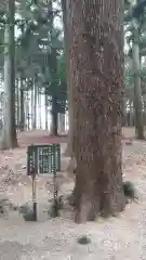 大田原神社の自然