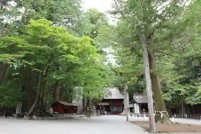北口本宮冨士浅間神社(山梨県)