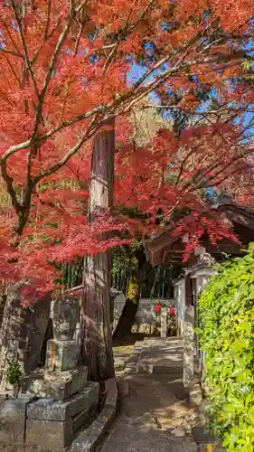 西雲院(京都府)