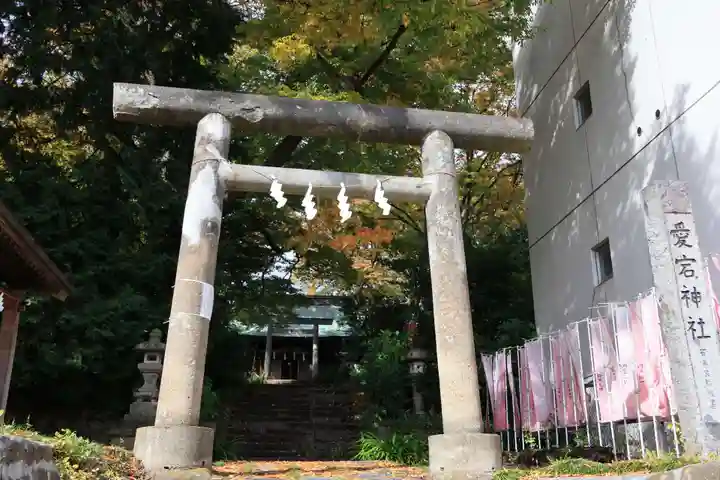 愛宕神社の鳥居