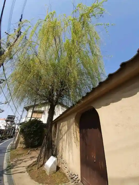 白乳神社(春日大社境外末社)の{uncategorized: "未分類", other: "その他", undefined: "問題あり", building: "その他建物", grave: "お墓", sacred_gate: "鳥居", guardian: "狛犬", statue: "像", buddha: "仏像", history: "歴史", nature: "自然", garden: "庭園", animal: "動物", pagoda: "塔", temizu: "手水舎", mountain_gate: "山門・神門", sanctuary: "本殿・本堂", subordinate: "末社・摂社", art: "芸術", scenery: "景色", jizo: "地蔵", ema: "絵馬", goshuin: "御朱印", omikuji: "おみくじ", items: "授与品その他", amulet: "お守り", goshuincho: "御朱印帳", eats: "食事", festival: "お祭り", votive_dance: "神楽", shichigosan: "七五三参", wedding: "結婚式", experience: "体験その他", initially: "初詣", around: "周辺", anti_infection: "感染症対策"}