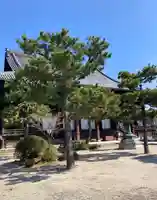 百萬遍知恩寺(京都府)