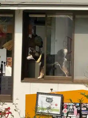 伏木神社(富山県)