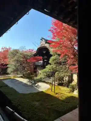 禅林寺（永観堂）の{uncategorized: "未分類", other: "その他", undefined: "問題あり", building: "その他建物", grave: "お墓", sacred_gate: "鳥居", guardian: "狛犬", statue: "像", buddha: "仏像", history: "歴史", nature: "自然", garden: "庭園", animal: "動物", pagoda: "塔", temizu: "手水舎", mountain_gate: "山門・神門", sanctuary: "本殿・本堂", subordinate: "末社・摂社", art: "芸術", scenery: "景色", jizo: "地蔵", ema: "絵馬", goshuin: "御朱印", omikuji: "おみくじ", items: "授与品その他", amulet: "お守り", goshuincho: "御朱印帳", eats: "食事", festival: "お祭り", votive_dance: "神楽", shichigosan: "七五三参", wedding: "結婚式", experience: "体験その他", initially: "初詣", around: "周辺", anti_infection: "感染症対策"}