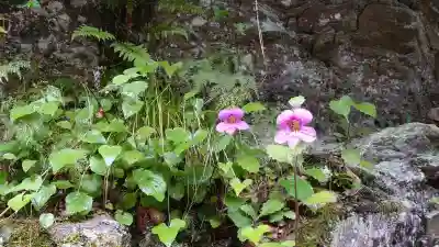 脳天大神龍王院(奈良県)