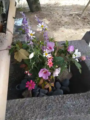 木華佐久耶比咩神社の芸術