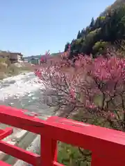 阿智神社前宮(長野県)