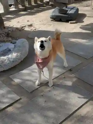 備後護國神社(広島県)