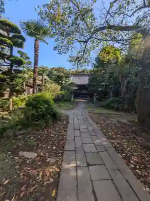 龍興山臨江寺(東京都)