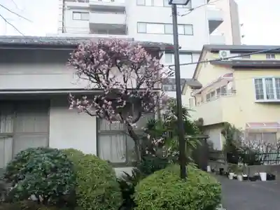 浄土寺(東京都)