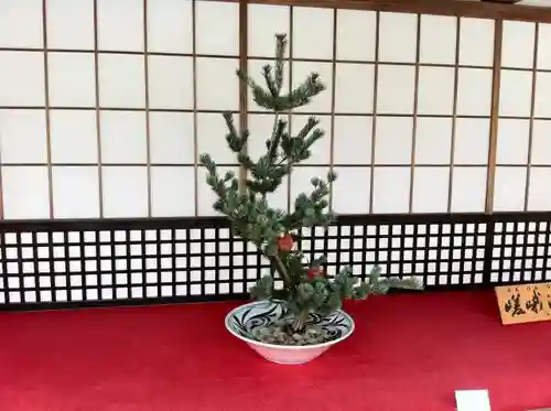 大覚寺のその他建物