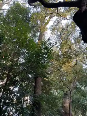 生田神社(兵庫県)