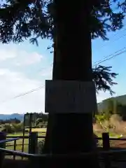 精進川浅間神社の自然