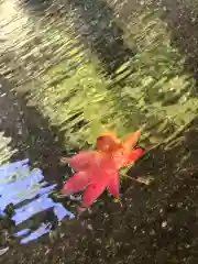 鹿島大神宮の自然