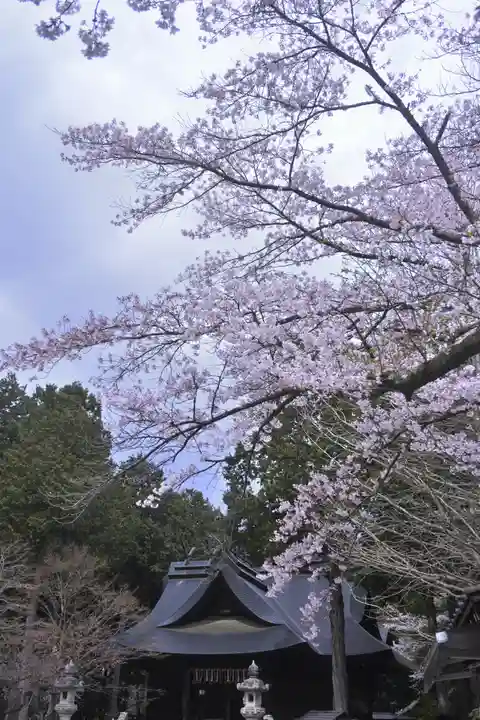 冨士御室浅間神社(山梨県)