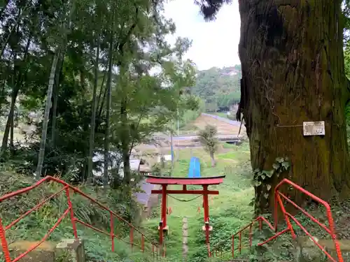 八幡神社の景色