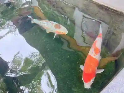 大聖観音寺（あびこ観音）(大阪府)