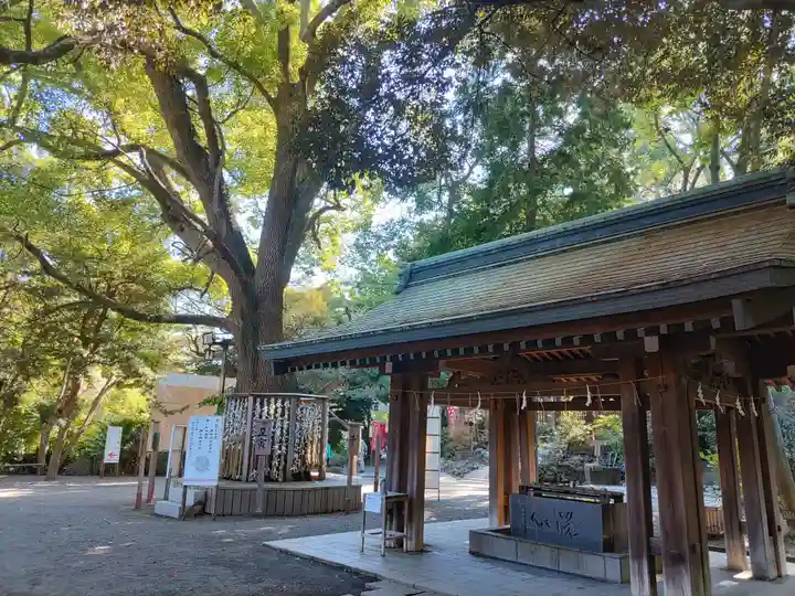 平塚八幡宮の手水舎