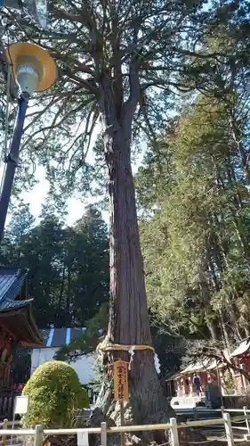 北口本宮冨士浅間神社(山梨県)