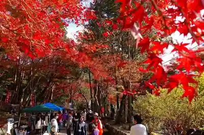 毘沙門堂門跡の周辺