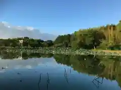 牟禮山観音禅寺の周辺