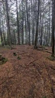 秋葉神社(京都府)