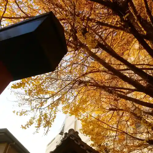 稼穡稲荷社の自然