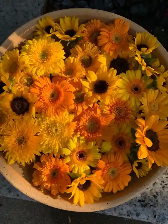 彌都加伎神社の手水舎