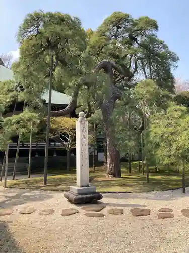 東漸寺(千葉県)