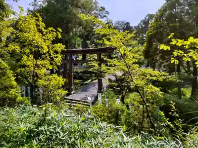伊太祁曽神社の鳥居