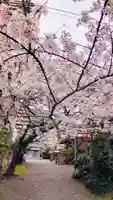 秋葉神社の自然