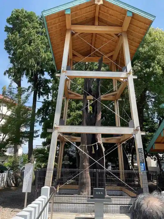 西八龍社の自然