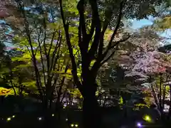 土津神社｜こどもと出世の神さまの自然