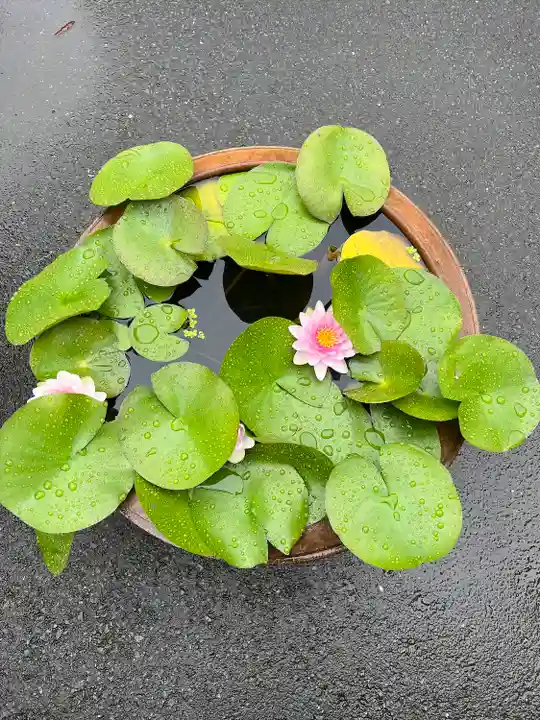 建長寺(神奈川県)