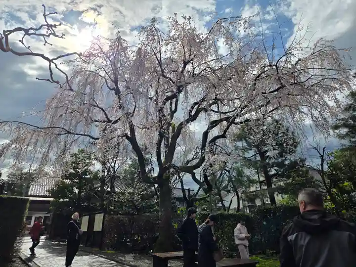 妙立寺(石川県)