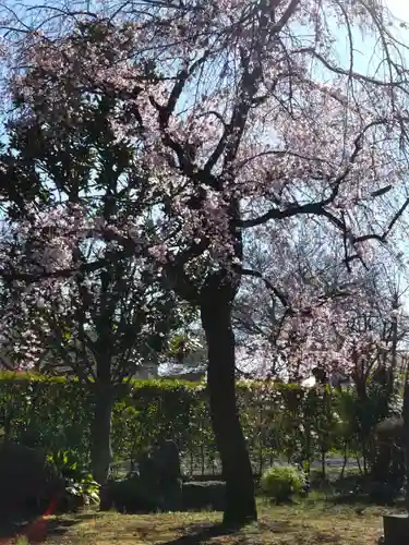 永福寺の庭園