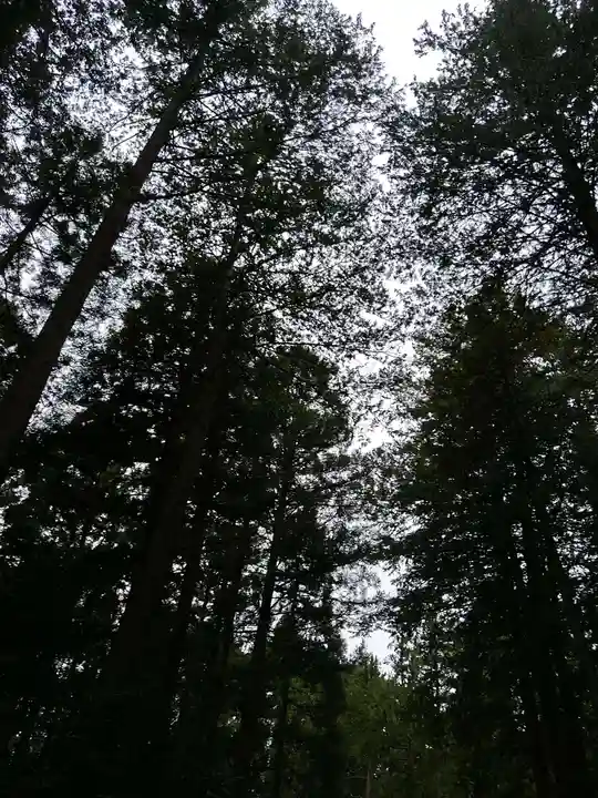 大正天皇多摩陵(東京都)