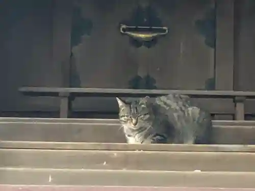 大依羅神社の動物