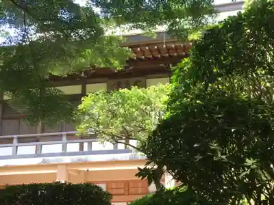 報国寺(神奈川県)