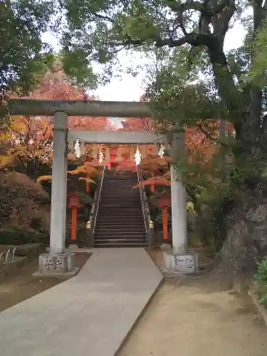 穴八幡宮の鳥居