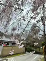 毘沙門堂門跡(京都府)