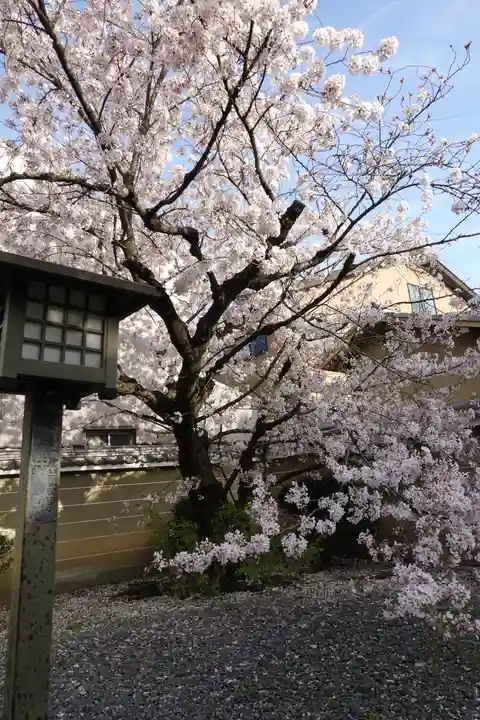 大報恩寺(千本釈迦堂)の自然
