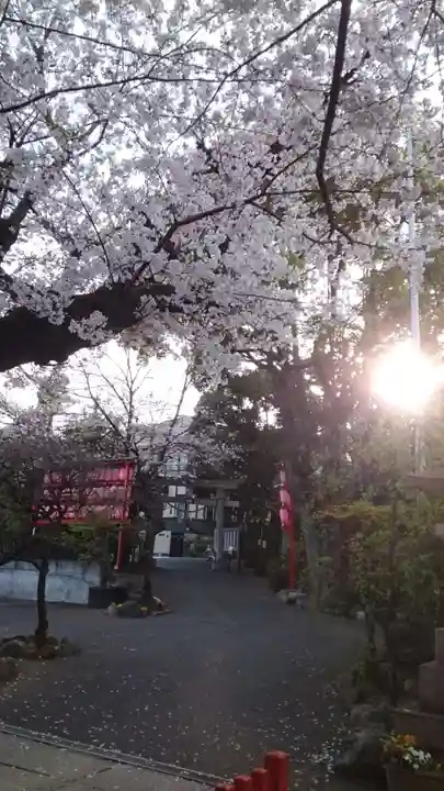 居木神社の御朱印