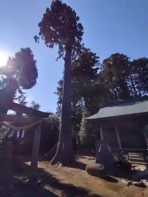 高龗神社(芦沼町)(栃木県)